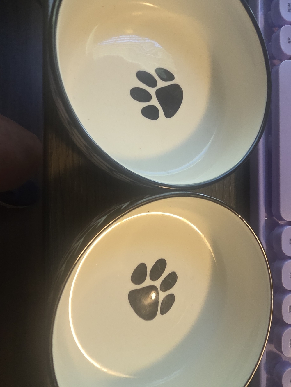 Set Of Two Ceramic Pet Bowls with Paw Print - Cream/Black